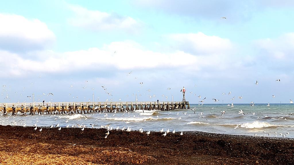 Hotel De Paris Courseulles-sur-Mer Eksteriør bilde